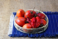 Frutta matura del pomodoro dell'albe