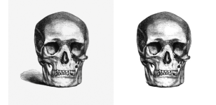 Skull Skull Halloween Clipart