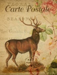 Stag Deer Floral Postcard
