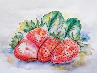 Strawberry, Watercolor, Drawing