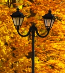 Street lamp in autumn