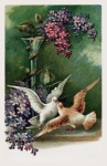 Pocztówka vintage kwiaty gołębie