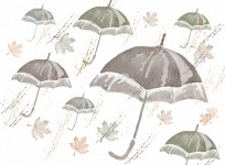 Guarda-chuvas no Wiind