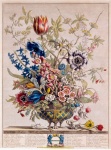 Art d'illustration de fleurs vintage