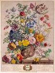 Vintage bloemen illustratie kunst