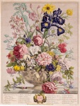 Vintage květiny ilustrace umění
