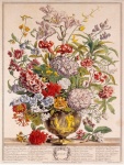 Vintage virágok illusztráció művészet
