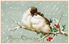 Vintage Christmas Card Birds Old