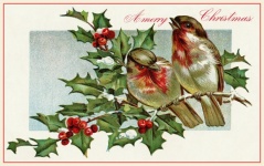Vintage vánoční přání ptáci karta