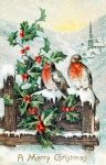 Vintage Weihnachtskarte Vögel Karte