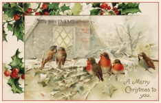 Vintage vánoční přání ptáci karta