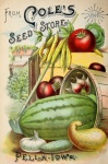 Publicidade vintage vegetais frutas
