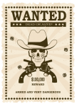 Wanted Vintage Cowboy Poster