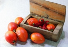 Wooden box with red tree tomatoes