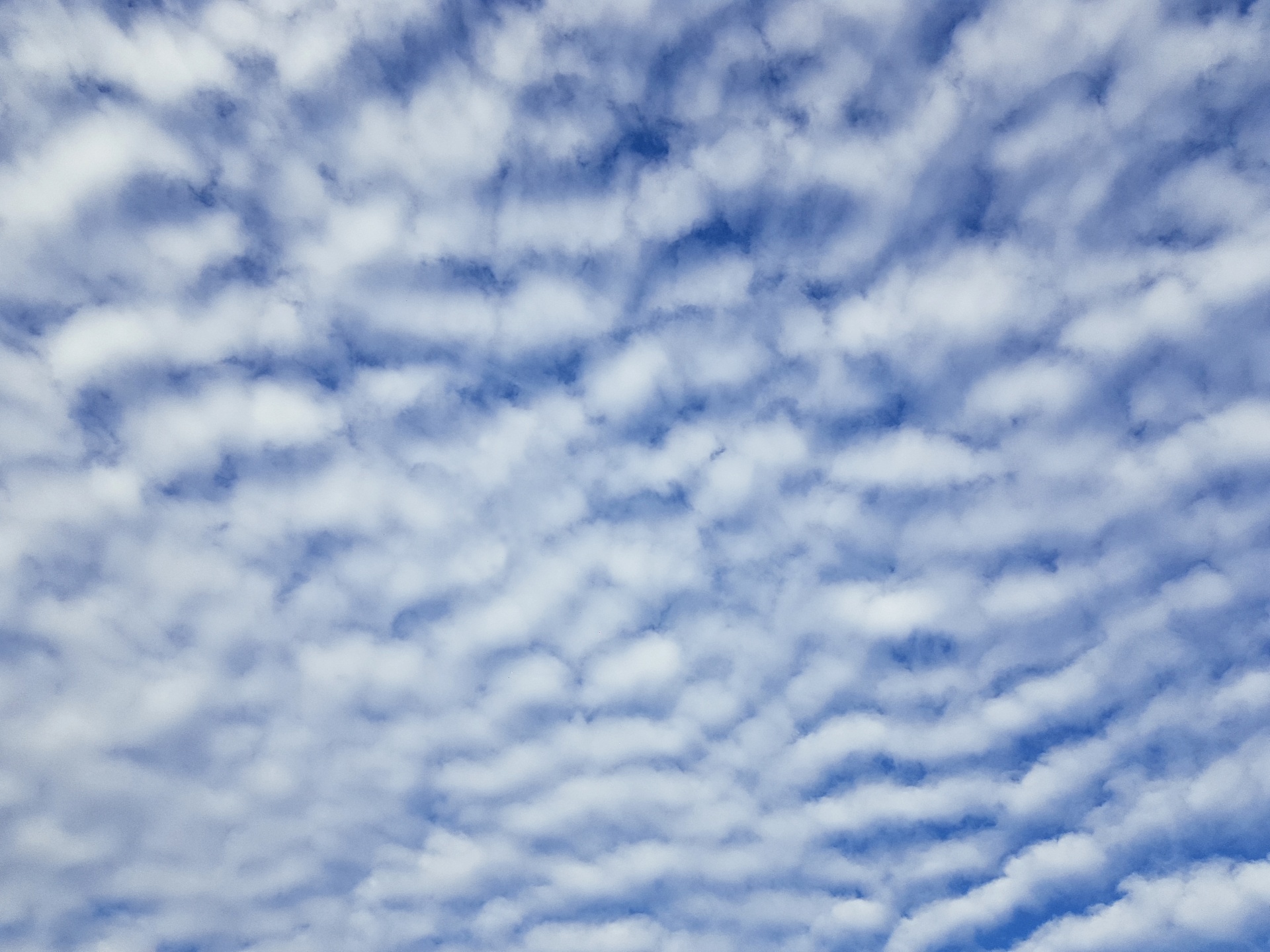 Sky Clouds Blue Cumulus Free Stock Photo - Public Domain Pictures