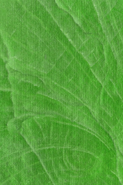 Фон текстура сплошной зеленый Бесплатная фотография - Public Domain Pictures
