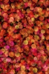 Abstract background dots pattern