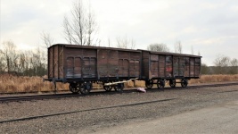 Auschwitz Prisoner Transport