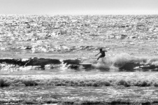 Surfista do mar preto e branco
