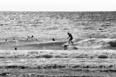 Black and white surfer on sunny sea