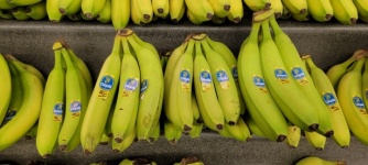 Banany Chiquita Żółte