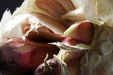 Close View Of Pink Garlic Cloves