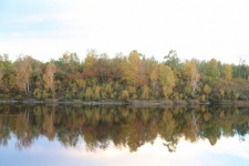Barevné podzimní listí