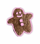Gingerbread Cookie And Pink Icing
