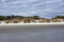 Beach Sand Dunes
