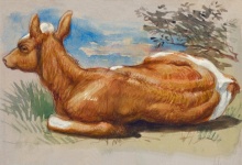 Arte de pintura de becerro de vaca