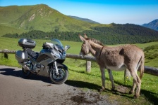 Landscape, donkey, motorcycle