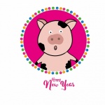 New Year, Pig