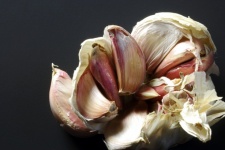 Pink Cloves Of Garlic Bulb