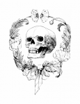 Crâne Humain Clipart Vintage