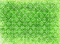 Vintage Background Pattern Green
