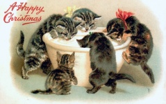 Vintage ansichtkaart kerst kat