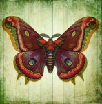 Vintage butterfly poster art