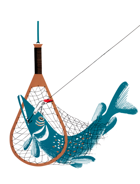 Fish Illustration Fishing Clipart Free Stock Photo - Public Domain