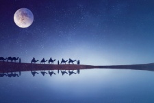 Beduino, deserto, carovana, cammelli