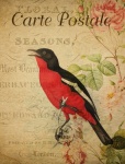 Bird French Floral Postcard