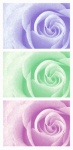 Blumen Rosen Collage Set