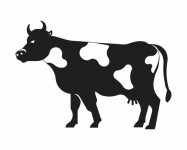 Clip Art de ilustrare vacă