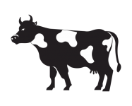 Cow Illustration Clip Art