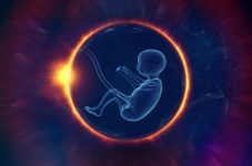 Embryo, Life, Origin, Evolution