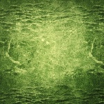 Grunge pozadí textury zelené
