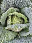 Grădină cu pat de legume Kale