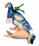 Hand Carrier Pigeon Vintage Art