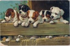 Perros Cachorros Arte Vintage