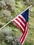 Flag United States Of America