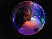 Aquarium window globe diver